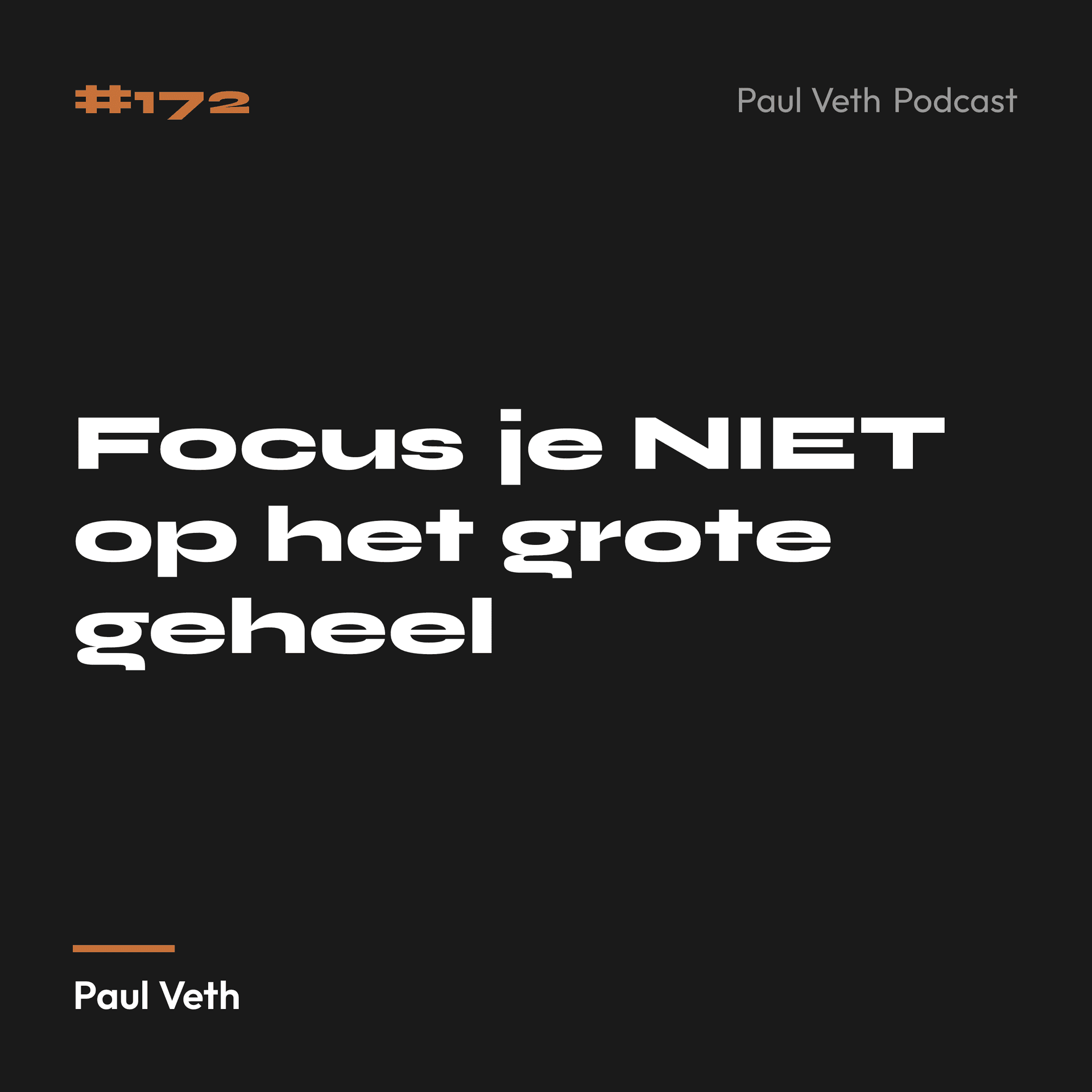 Focus je NIET op het grote geheel