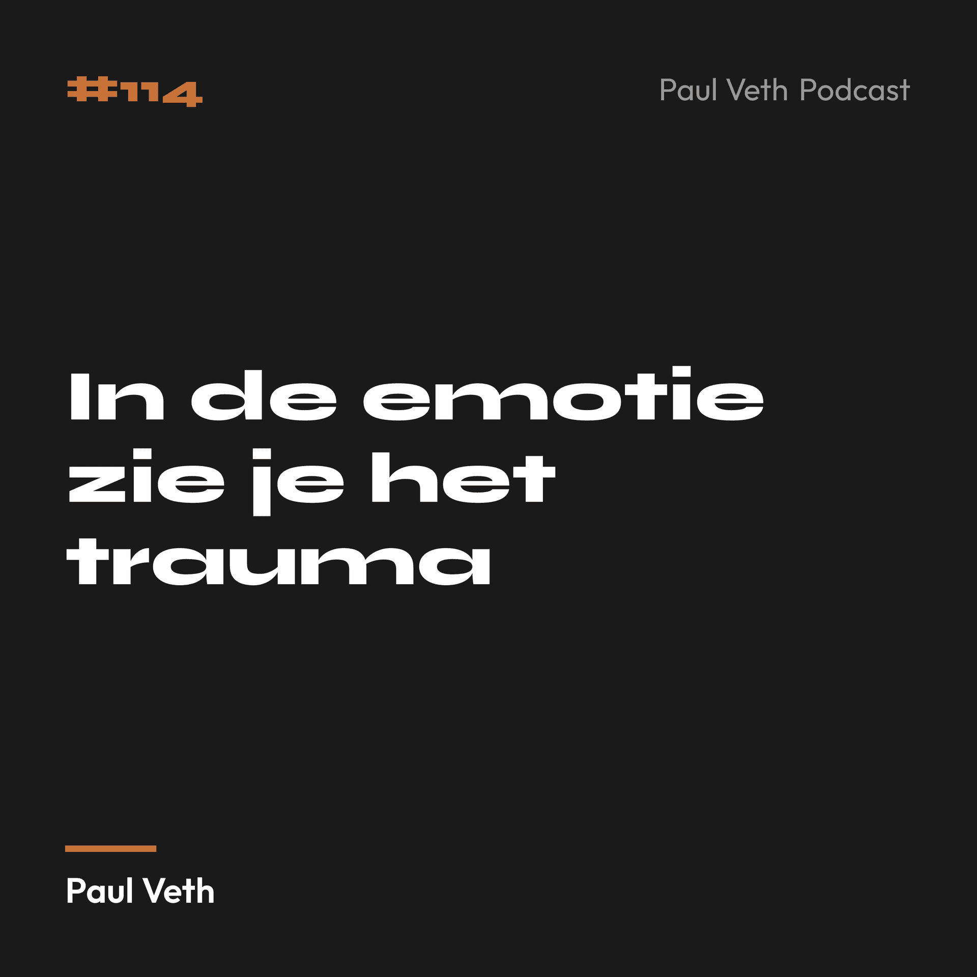 In de emotie zie je het trauma