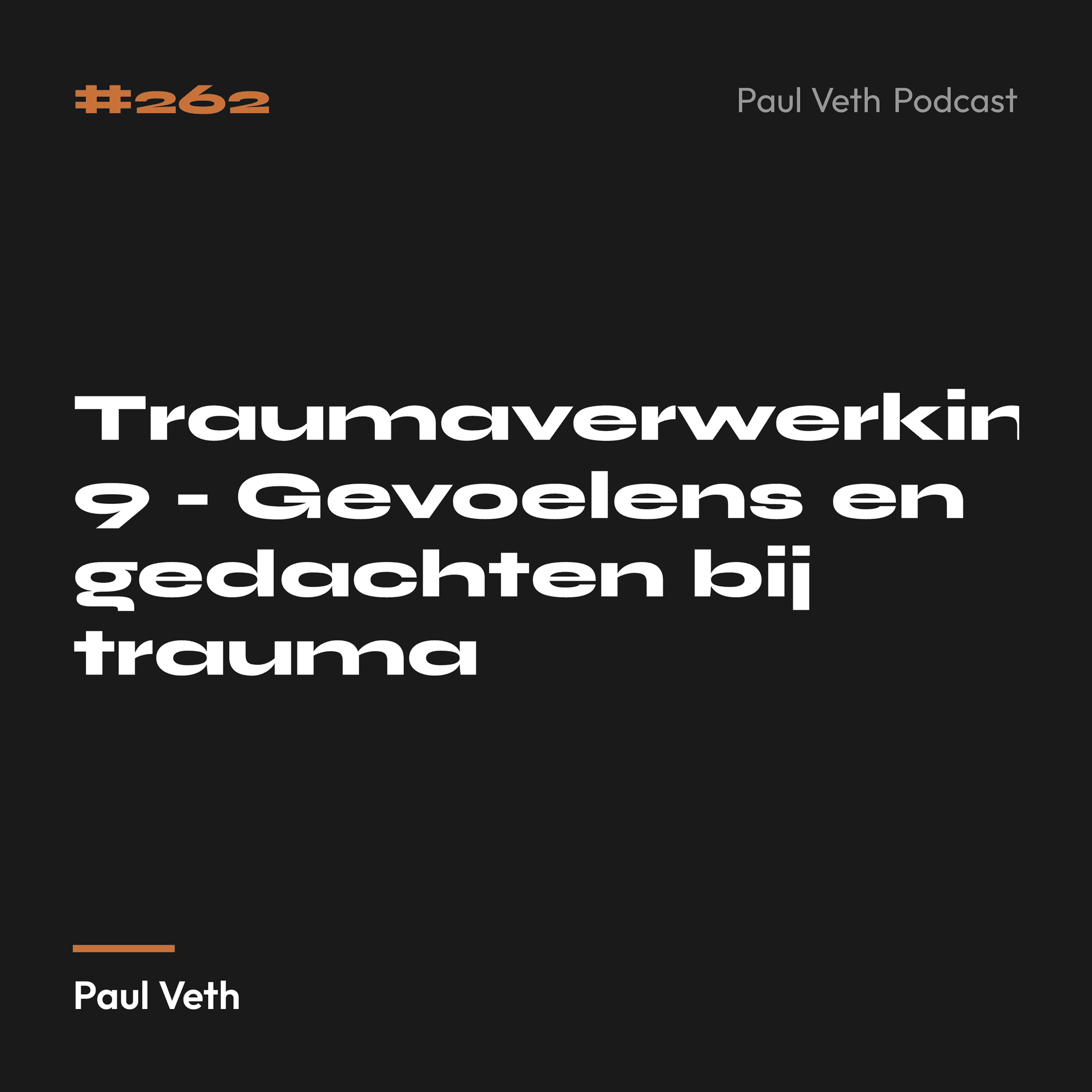 Traumaverwerking 9 - Gevoelens en gedachten bij trauma