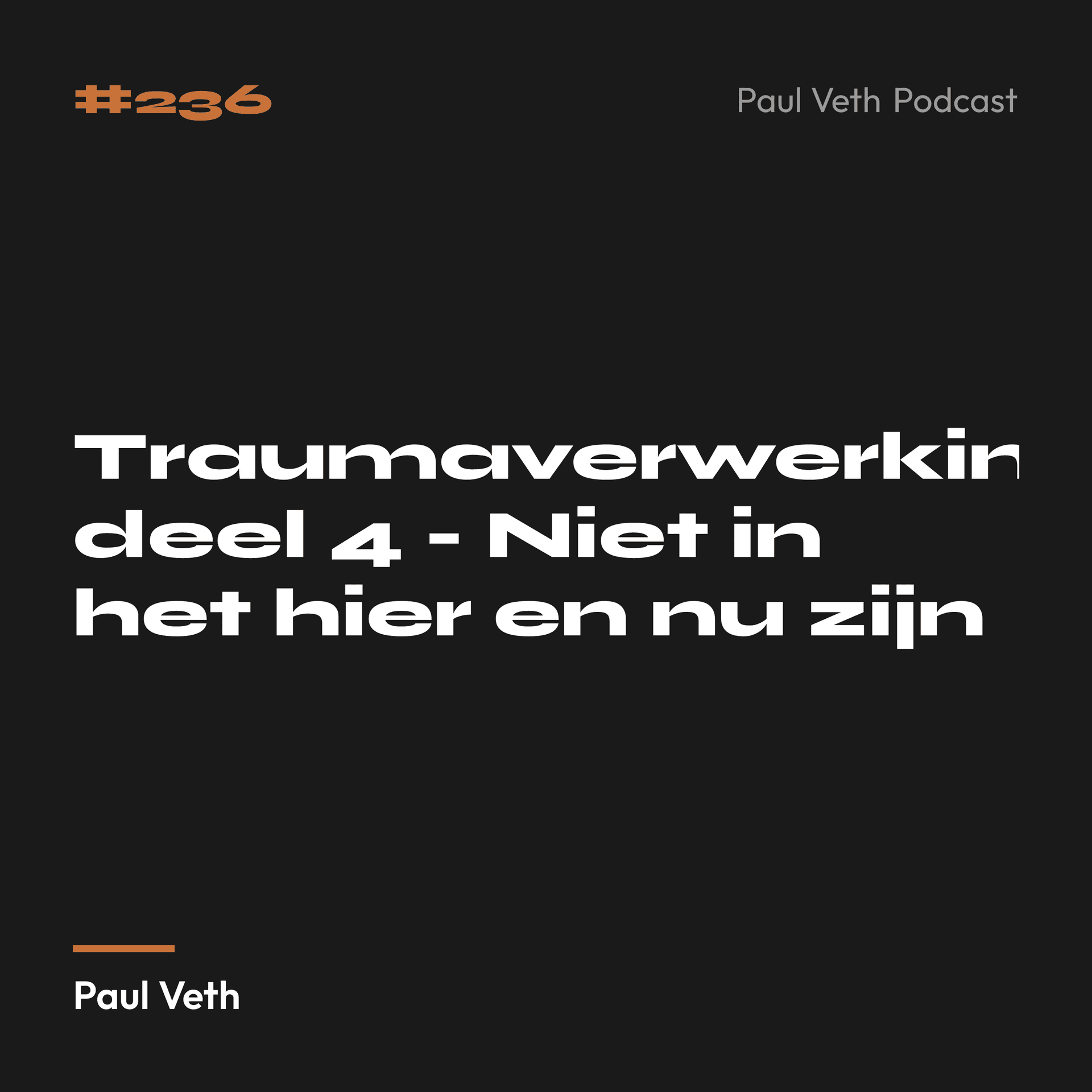 Traumaverwerking deel 4 - Niet in het hier en nu zijn