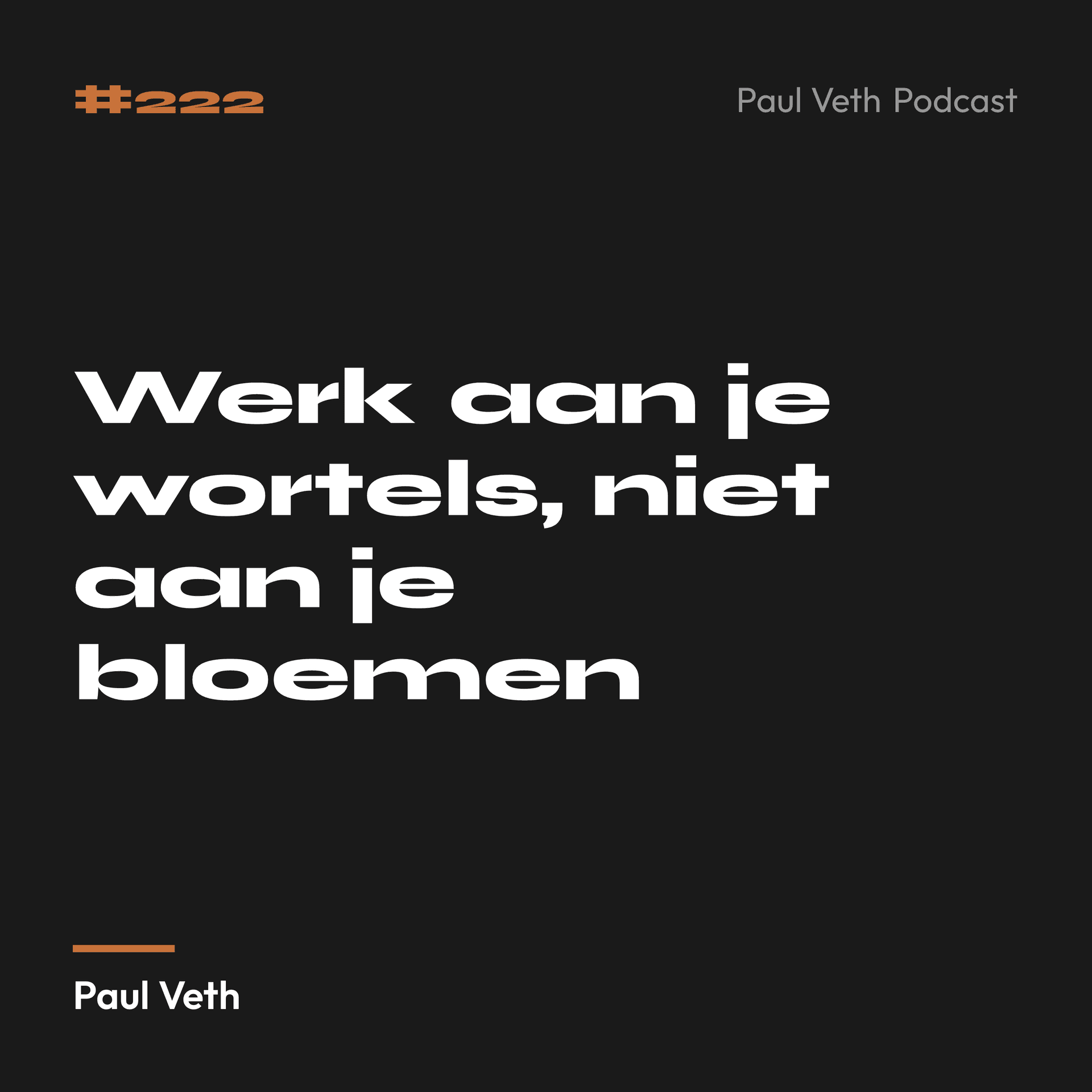Werk aan je wortels, niet aan je bloemen